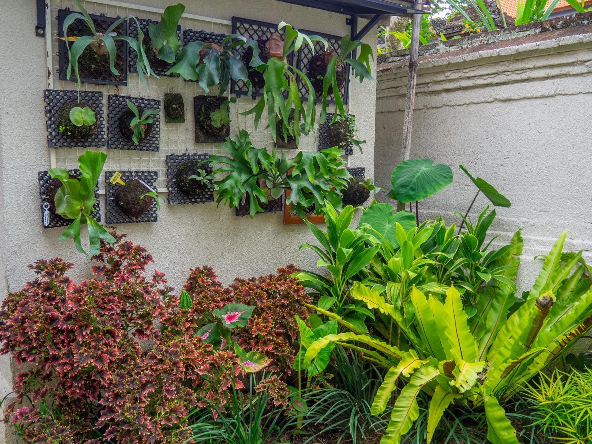 Arumasta Ubud 外观 照片